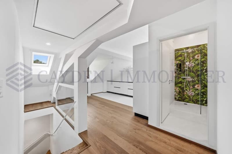 Exclusivité !!!! Bel appartement entièrement rénové dans une bâtisse de charme. (2)