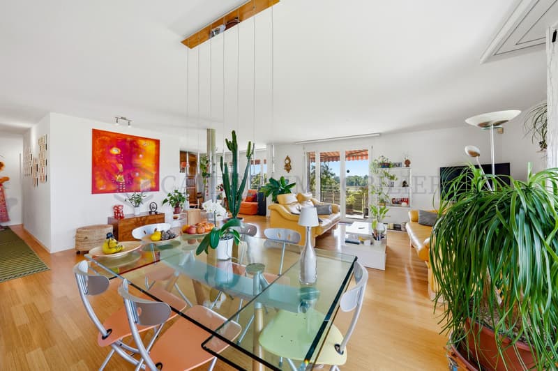 Magnifique appartement de 5.5 pièces avec vue panoramique sur les Alpes à Gland (4)