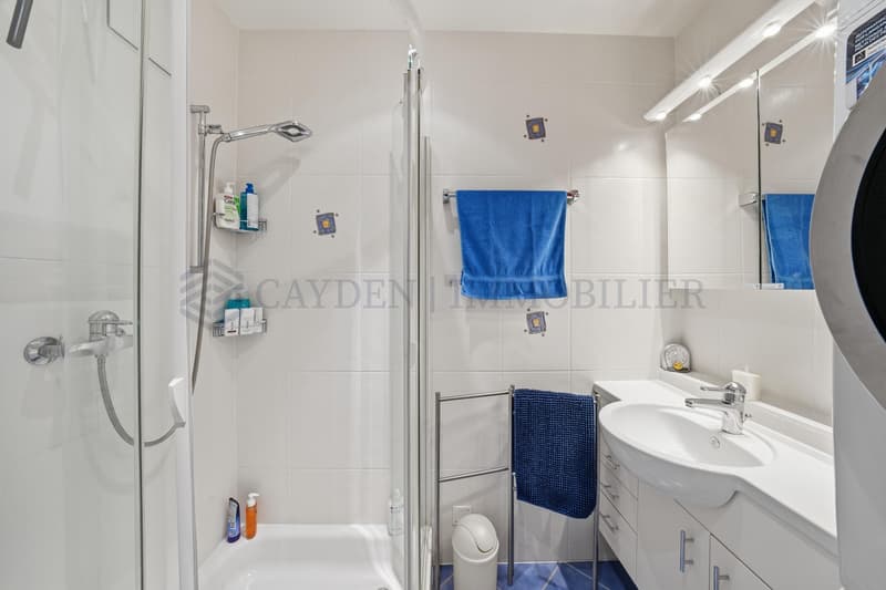 Magnifique appartement de 5.5 pièces avec vue panoramique sur les Alpes à Gland (13)