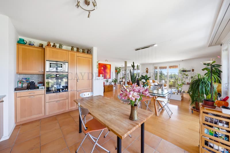 Magnifique appartement de 5.5 pièces avec vue panoramique sur les Alpes à Gland (6)
