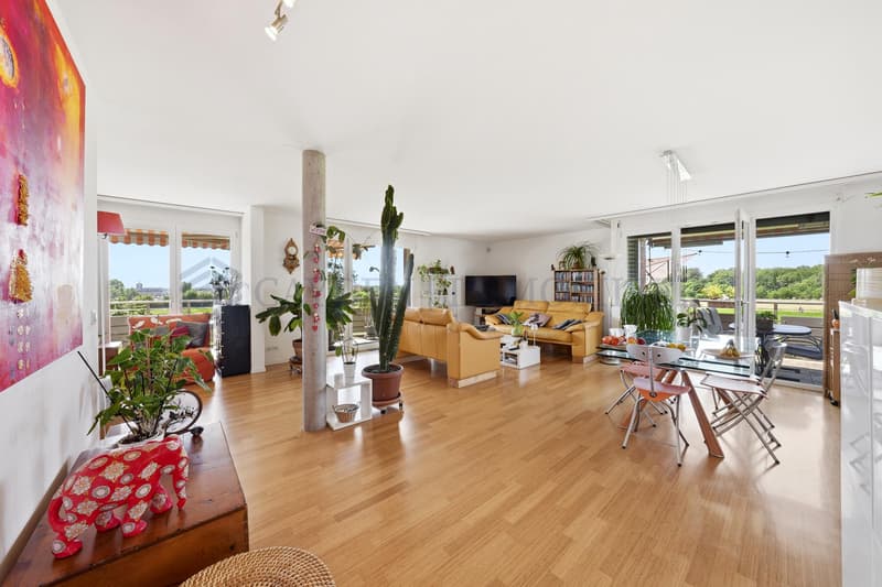 Magnifique appartement de 5.5 pièces avec vue panoramique sur les Alpes à Gland (3)