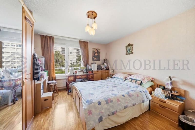 En exclusivité ! Charmant appartement familial au coeur d'Onex (9)