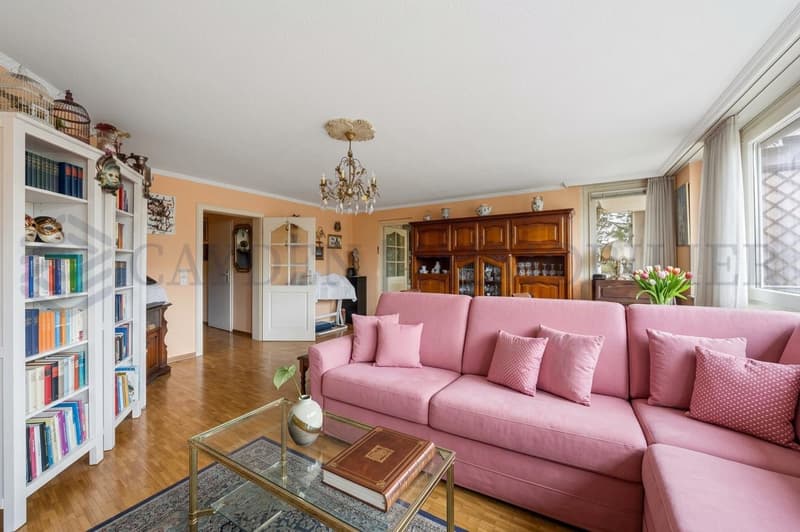 En exclusivité ! Charmant appartement familial au coeur d'Onex (6)