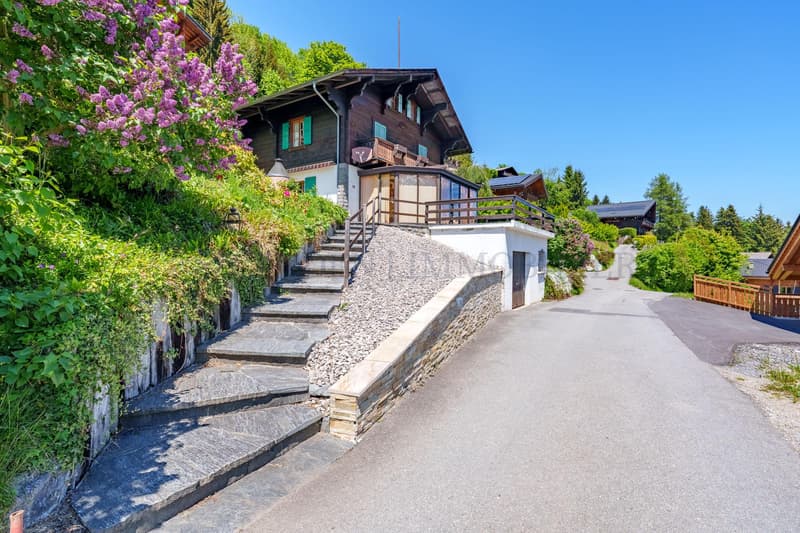 Chalet authentique, vue panoramique sur les montagnes (5)