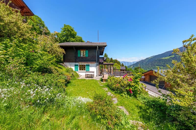 Chalet authentique, vue panoramique sur les montagnes (3)
