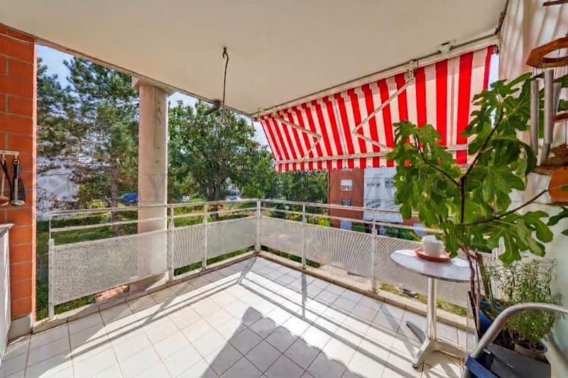 En exclusivité ! Charmant appartement familial au coeur d'Onex (2)