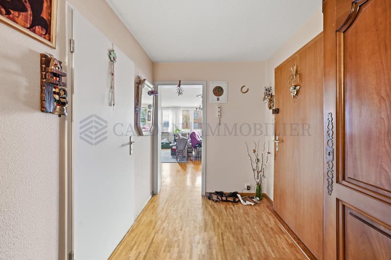 En exclusivité ! Charmant appartement familial au coeur d'Onex (4)