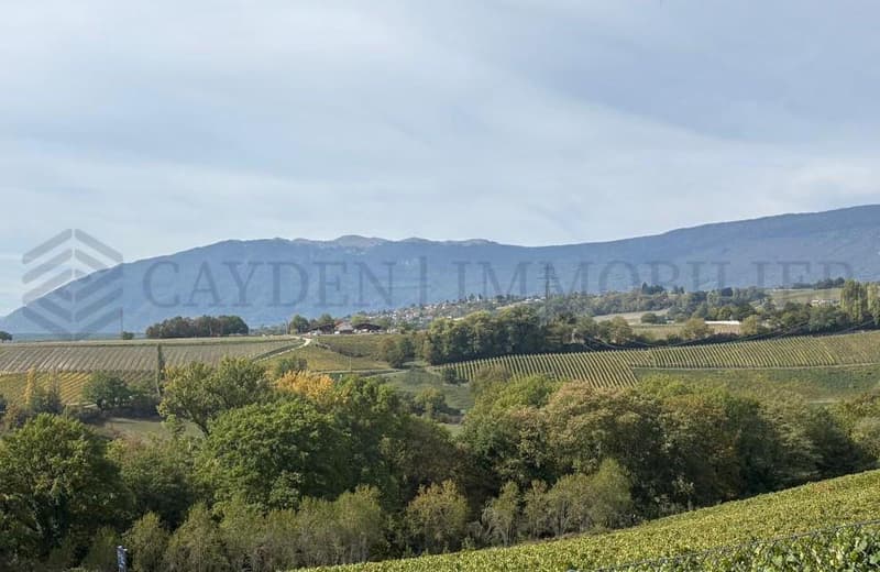 4 PIèces rez-de-jardin vue magnifique ( Rez inférieur) - Lot 2.01 (12)