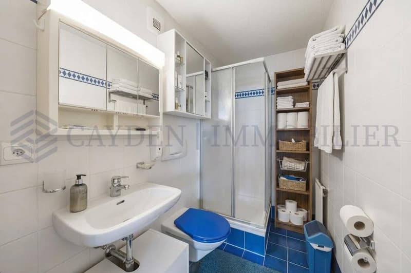 En exclusivité ! Charmant 5 pièces au coeur d'Onex (12)