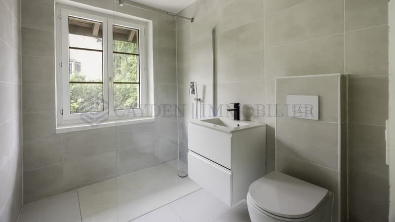 Maison rénovée avec jardin et appartement indépendant (4)