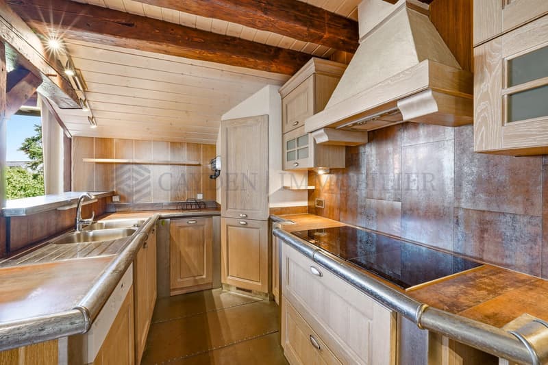 Exclusivité !! 6 pièces atypique avec confort d'une maison (4)