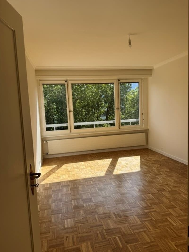 Spacieux appartement de 6 pièces avec balcon au 7ème étage – Route de Florissant, Genève (10)