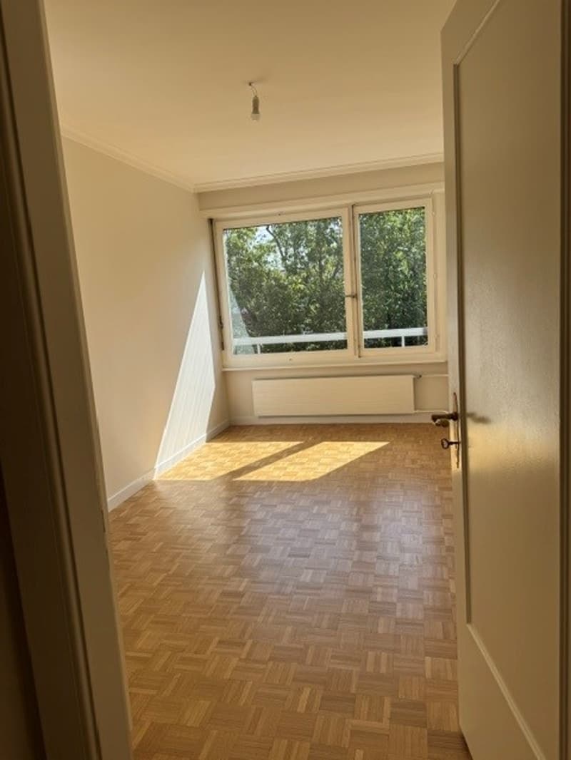 Spacieux appartement de 6 pièces avec balcon au 7ème étage – Route de Florissant, Genève (11)