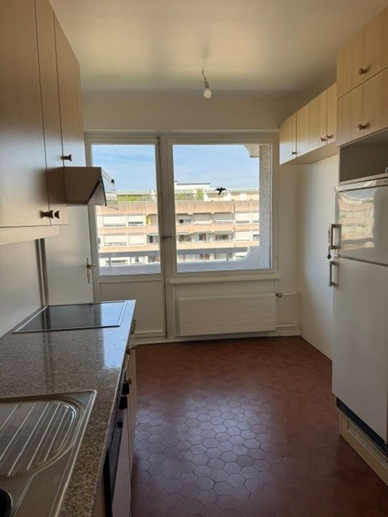 Spacieux appartement de 6 pièces avec balcon au 7ème étage – Route de Florissant, Genève (5)