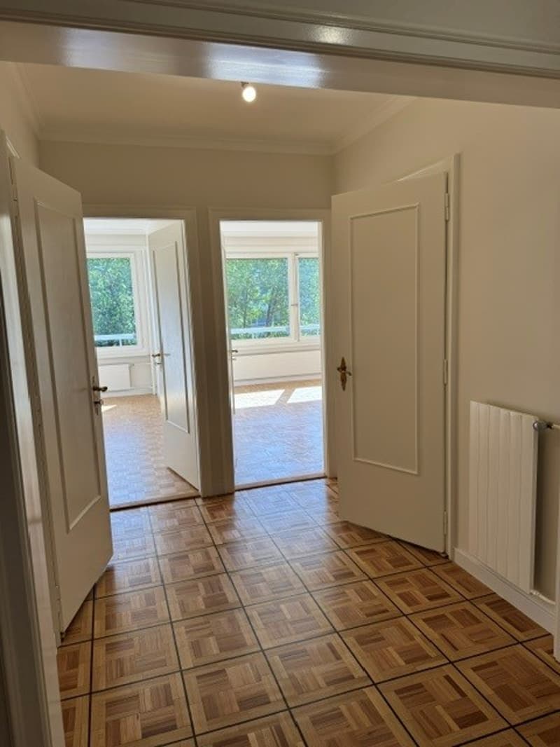 Spacieux appartement de 6 pièces avec balcon au 7ème étage – Route de Florissant, Genève (9)