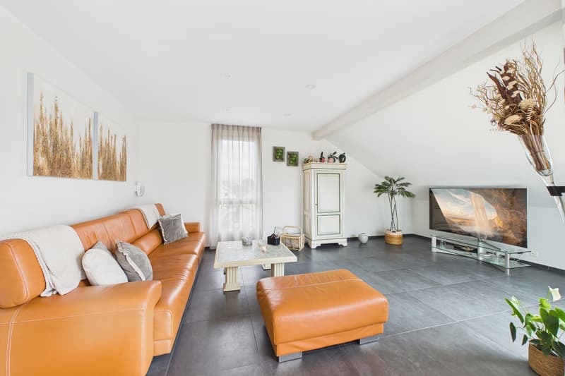 Magnifique attique avec mezzanine aménagée (4)