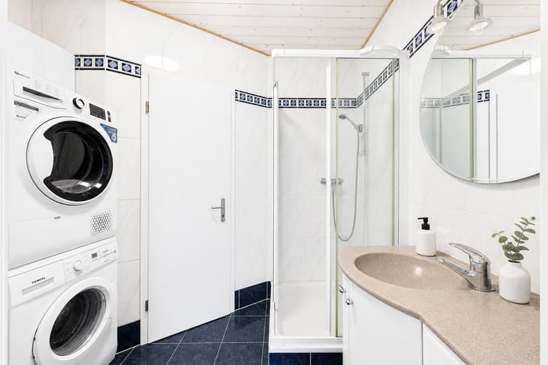 Magnifique attique avec mezzanine aménagée (7)