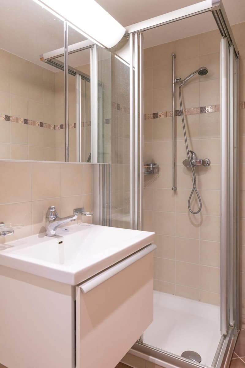 Maison exposée sud de 4.5 pcs (11)