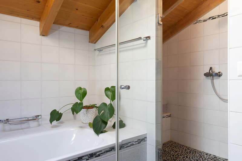 Maison exposée sud de 4.5 pcs (8)