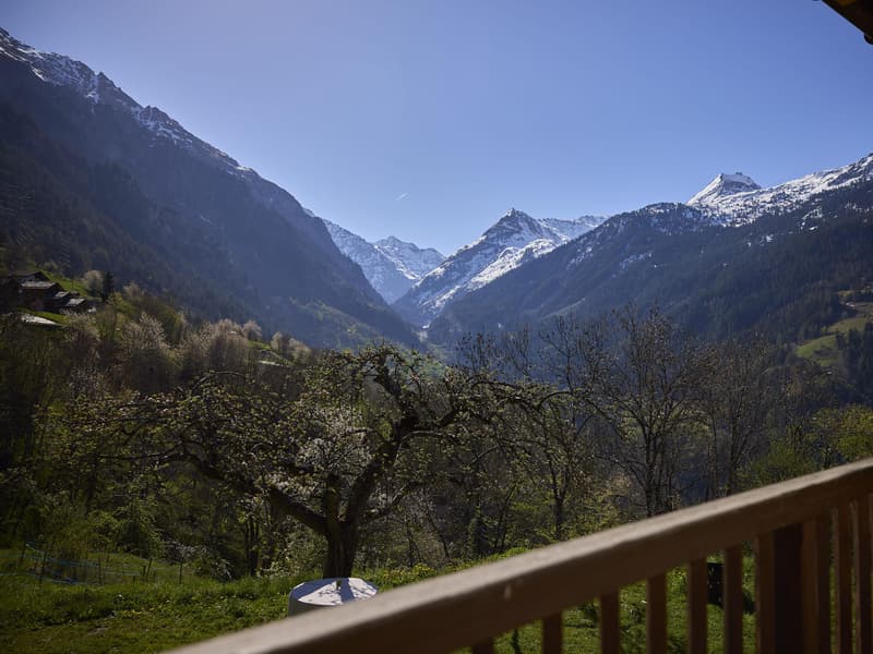 LOCATION SAISON D'HIVER - CHARMANT CHALET DE 3 CHAMBRES AVEC GRAND JARDIN OUVERT À SARREYER ? STYLE ALPIN - VUE IMPRENABLE SUR LES MONTAGNES (11)