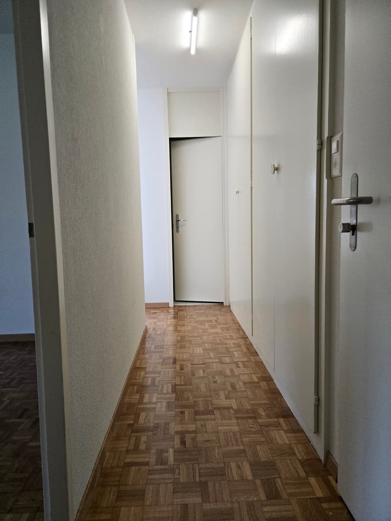 Appartement lumineux de 3,5 pièces à Vevey (6)