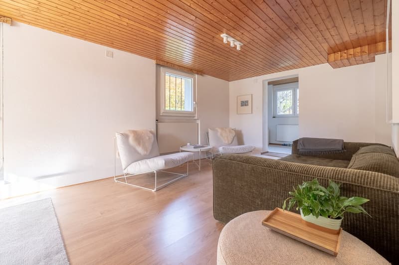 white walls, wooden floor, modern furnishings, potted plant, wooden tray, couch, chairs, windows