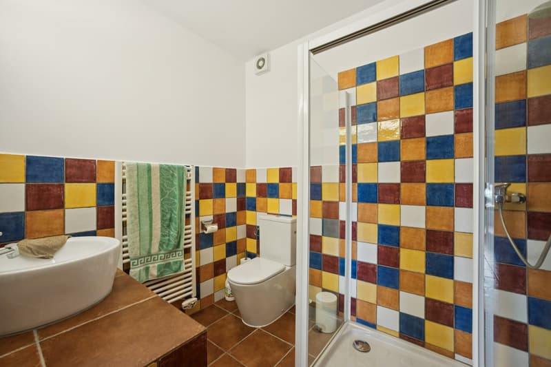 small bathroom with shower, toilet, and sink, with decorative tiles