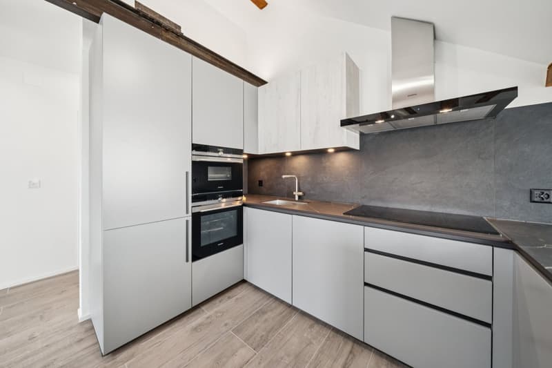 Appartement de 200 m2 avec balcon et deux places de parc extérieures (4)