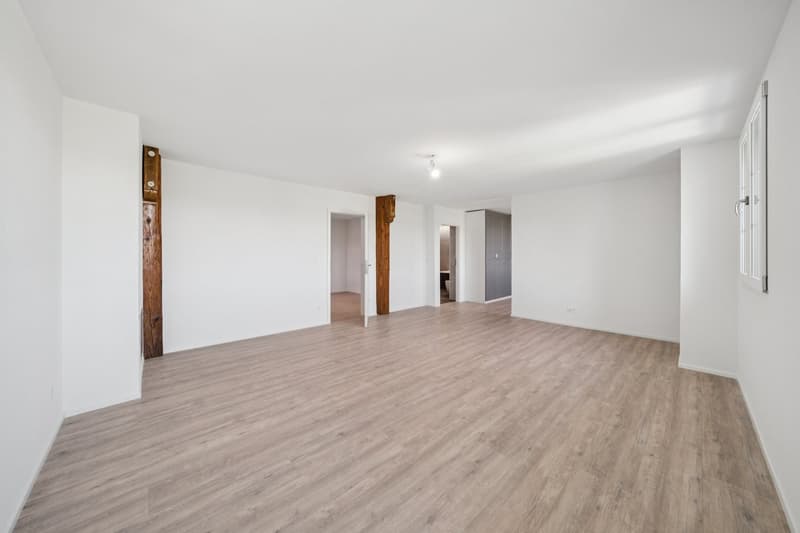 Appartement de 200 m2 avec balcon et deux places de parc extérieures (8)