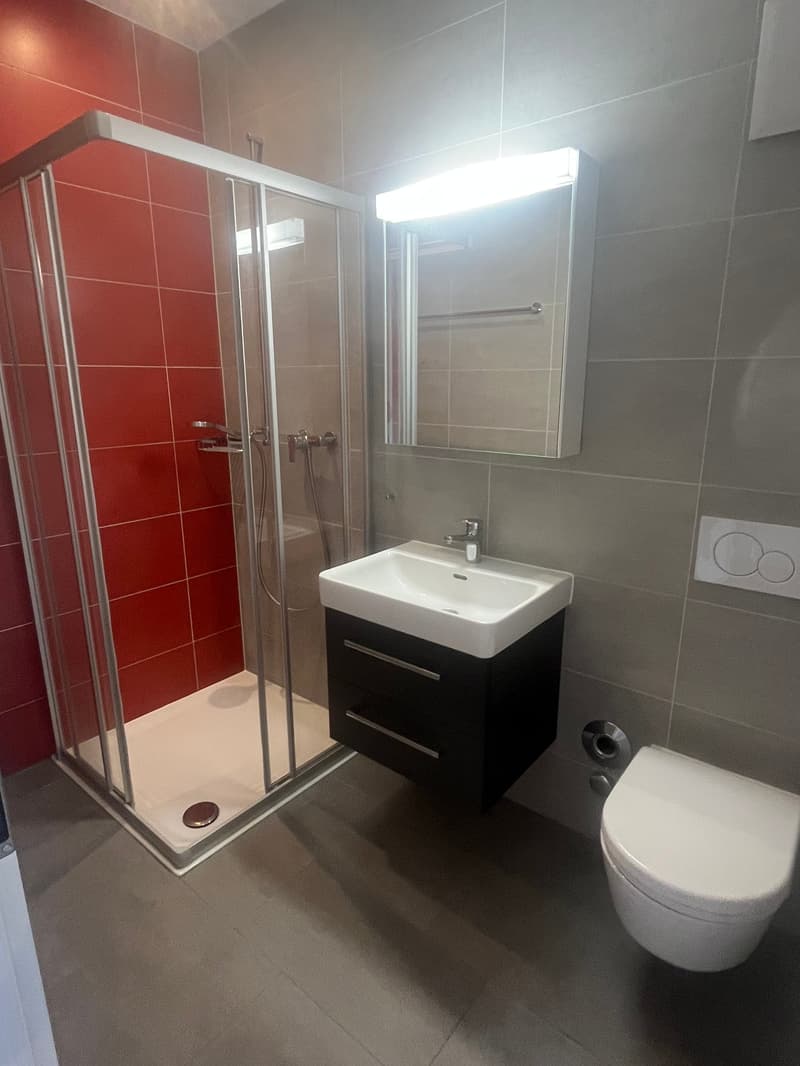 modern bathroom with red tiles, glass shower, white sink, black cabinet, white toilet