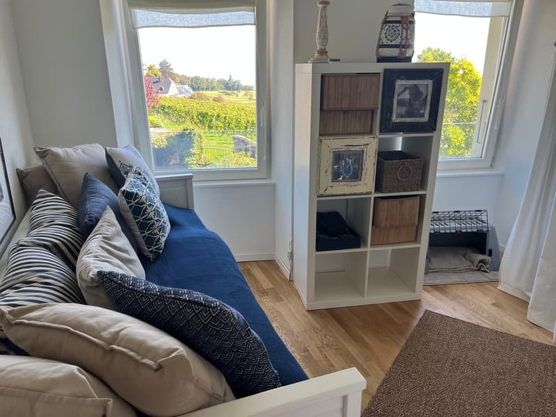 Vufflens-le-Château (9 minutes de Morges) : à louer magnifique appartement récent de 4,5 pièces (15)