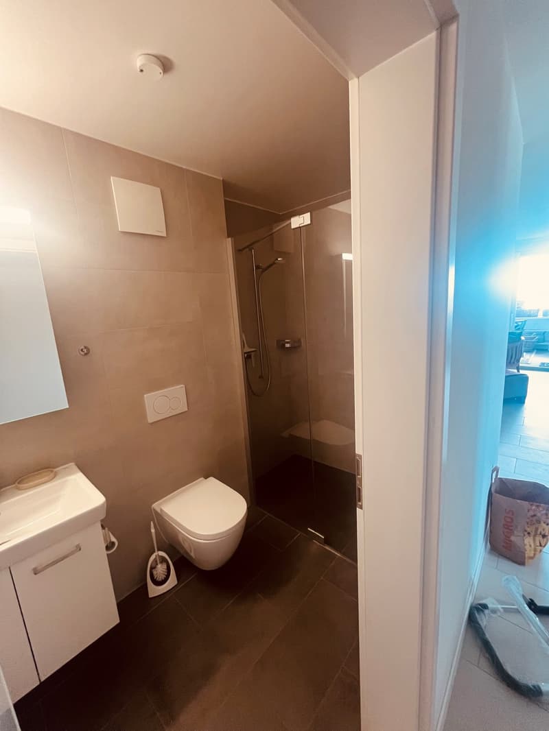 Vufflens-le-Château (9 minutes de Morges) : à louer magnifique appartement récent de 4,5 pièces (18)
