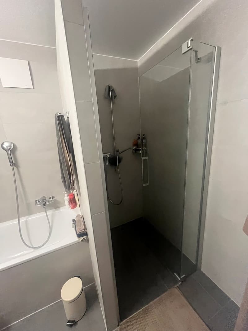 Vufflens-le-Château (9 minutes de Morges) : à louer magnifique appartement récent de 4,5 pièces (17)
