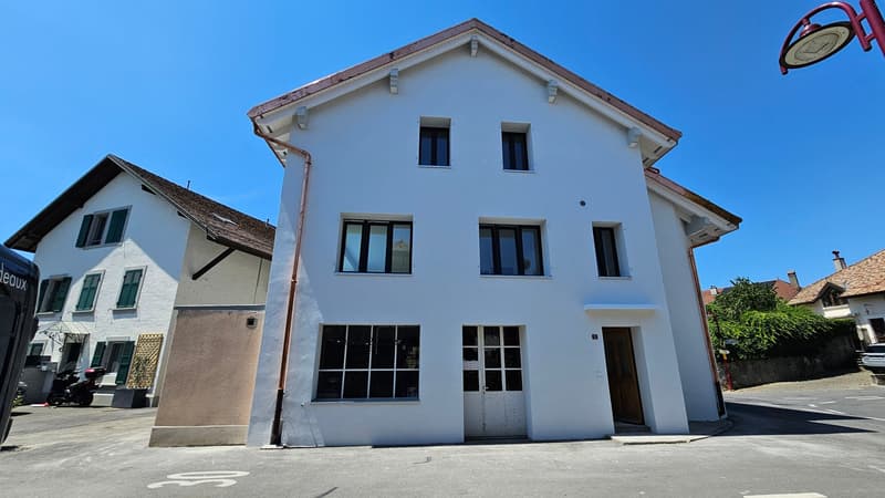 St-Saphorin-sur-Morges (7 minutes de Morges) : à louer magnifique appartement rénové de 4,5 pièces (18)