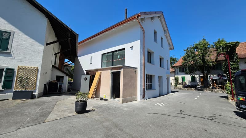 St-Saphorin-sur-Morges (7 minutes de Morges) : à louer magnifique appartement rénové de 4,5 pièces (19)