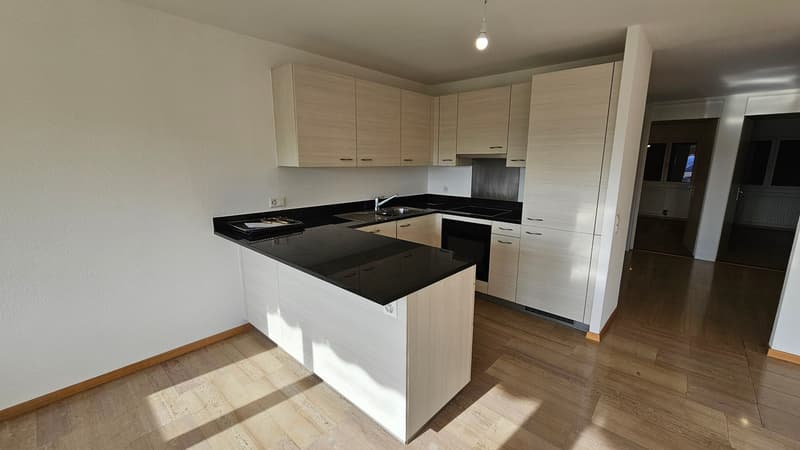 Echandens : proche de toutes commodités, à louer charmant appartement de 4 pièces (2)