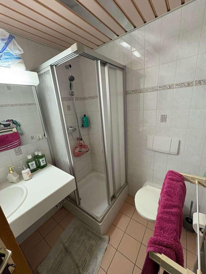 Charmant appartement d'une pièce au cœur du village de Saubraz (3)