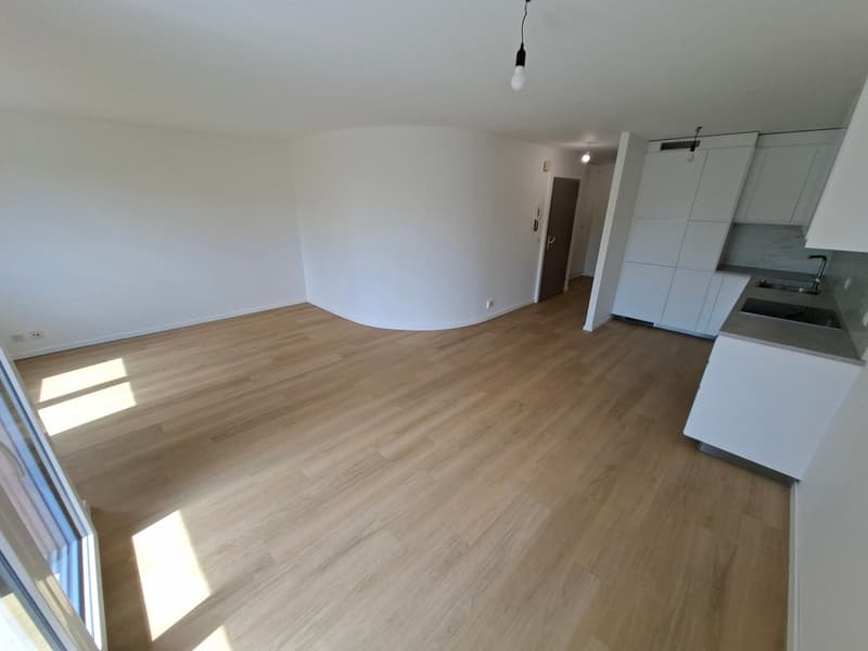 Morges, à louer magnifique appartement de 3,5 pièces lumineux avec balcon (12)