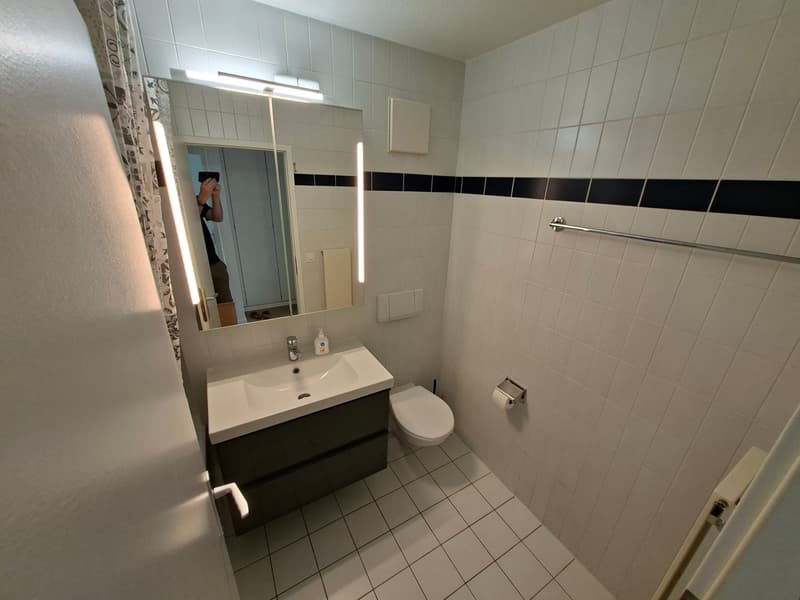 Morges, à louer magnifique appartement de 3,5 pièces lumineux avec balcon (23)