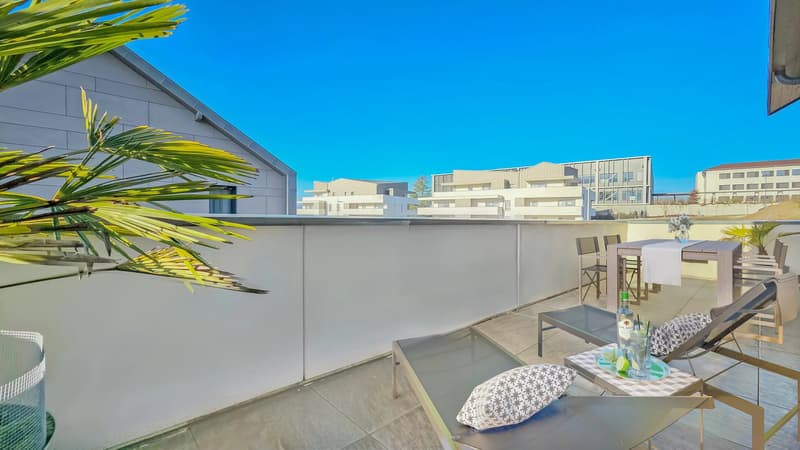 Annecy Chavanod : appartement T2 lumineux avec vaste terrasse (2)