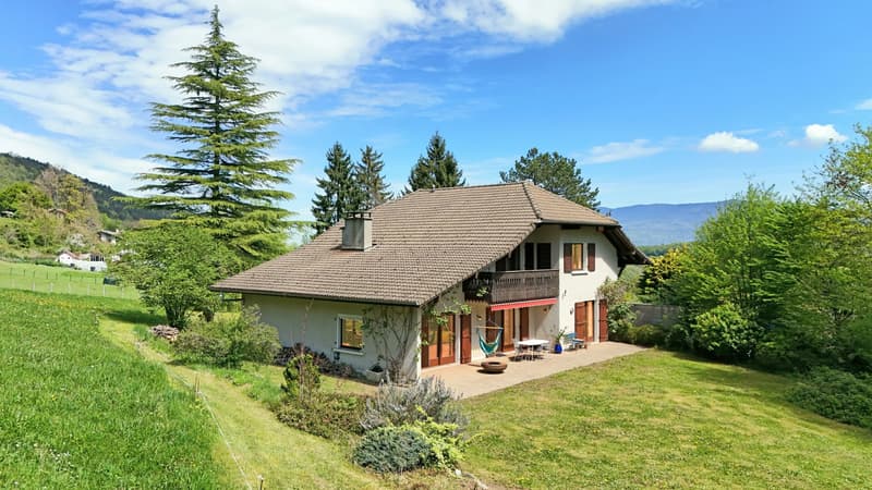 Maison T6 exposée plein sud sur près de 8 000 m² à Monnetier-Mornex (4)