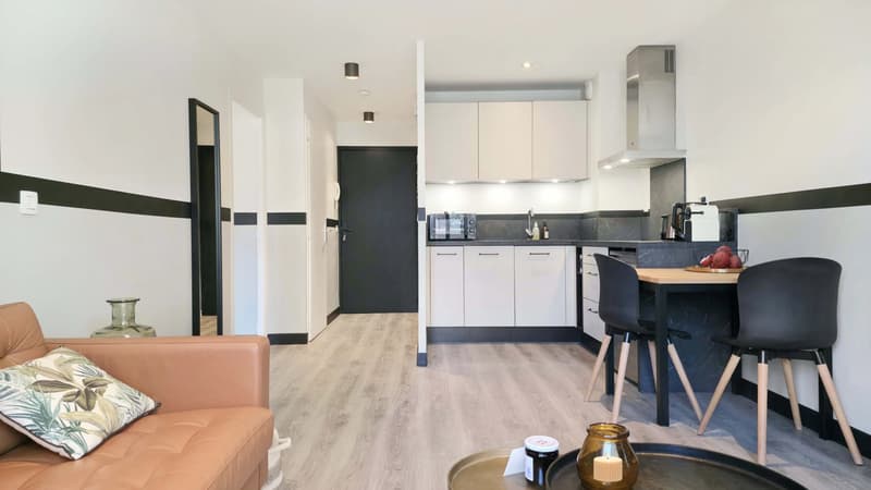 T2 rénové à Évian-les-Bains, secteur des Grottes (8)