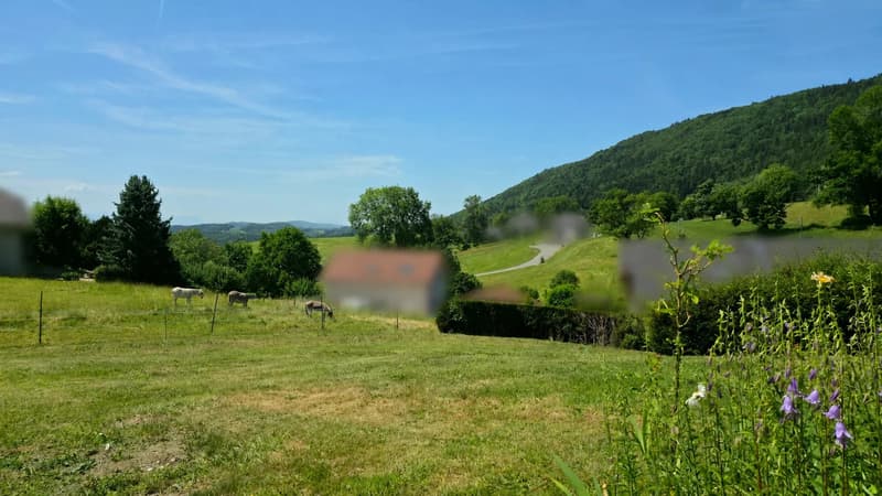 Terrain constructible idéal à Vovray-en-Bornes (2)