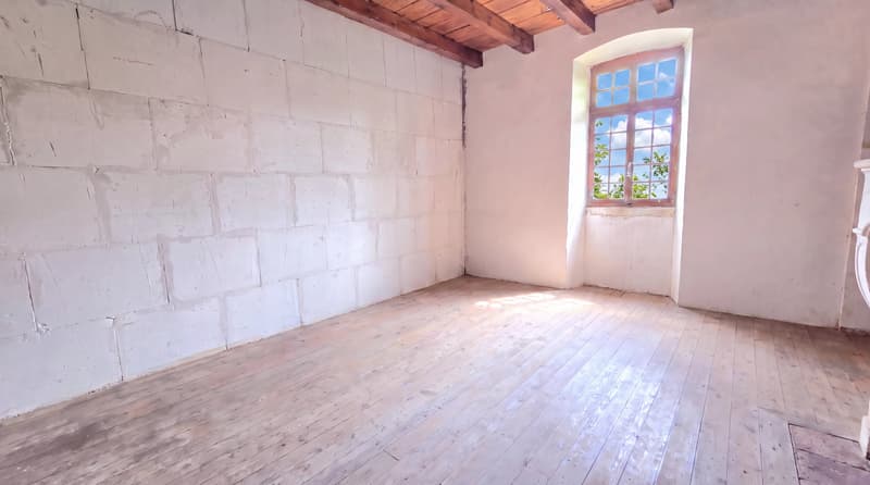Anglefort : Maison forte T9 à rénover (10)