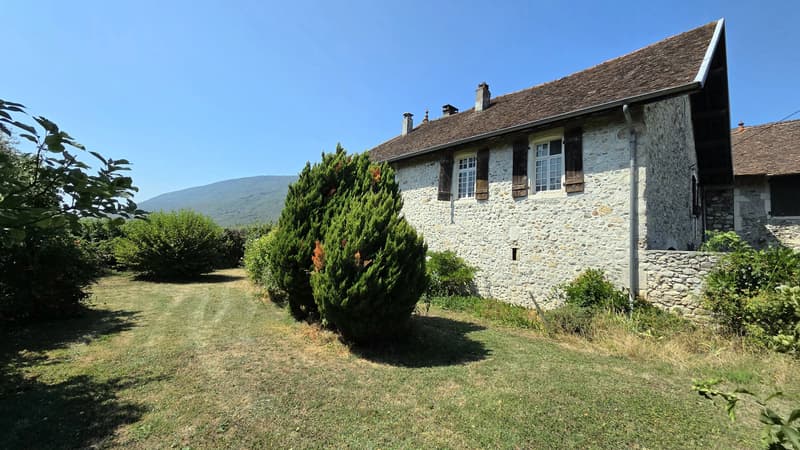 Anglefort : Maison forte T9 à rénover (5)
