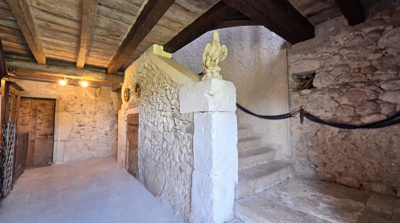 Anglefort : Maison forte T9 à rénover (12)