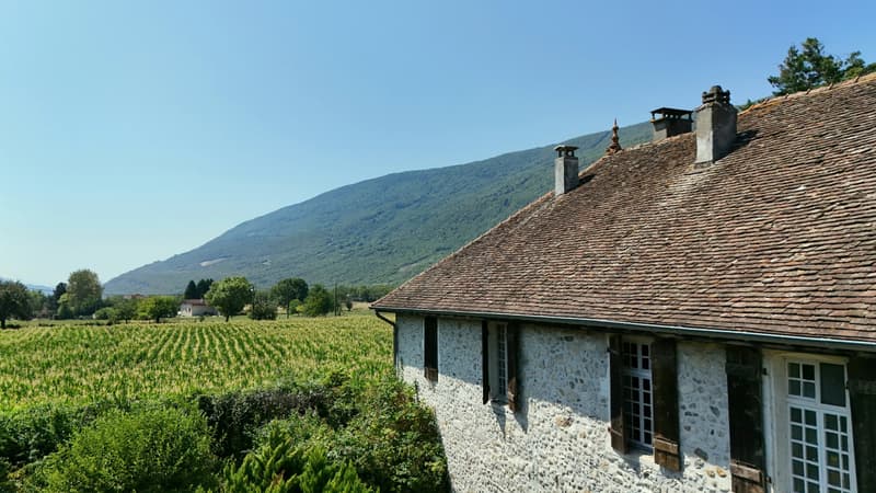 Anglefort : Maison forte T9 à rénover (1)