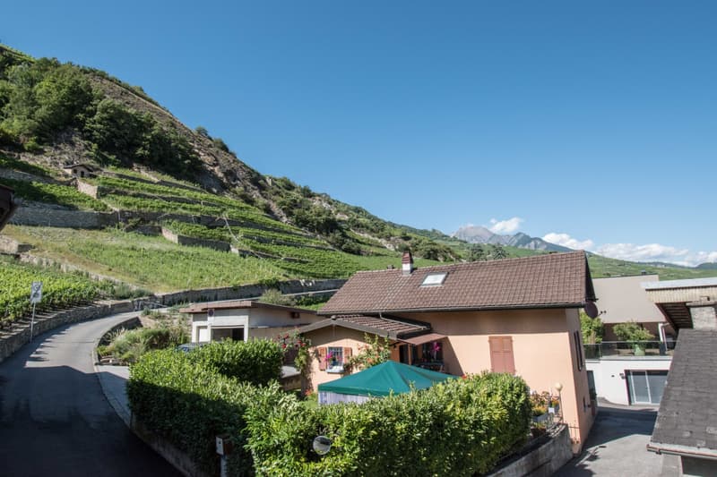 2.5 pièce dans maison ancienne A VETROZ (6)