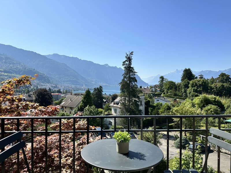 Magnifique appartement de 3 pièces avec jardin et vue ! (6)