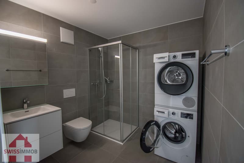 Magnifique appartement dans immeuble neuf ! (8)